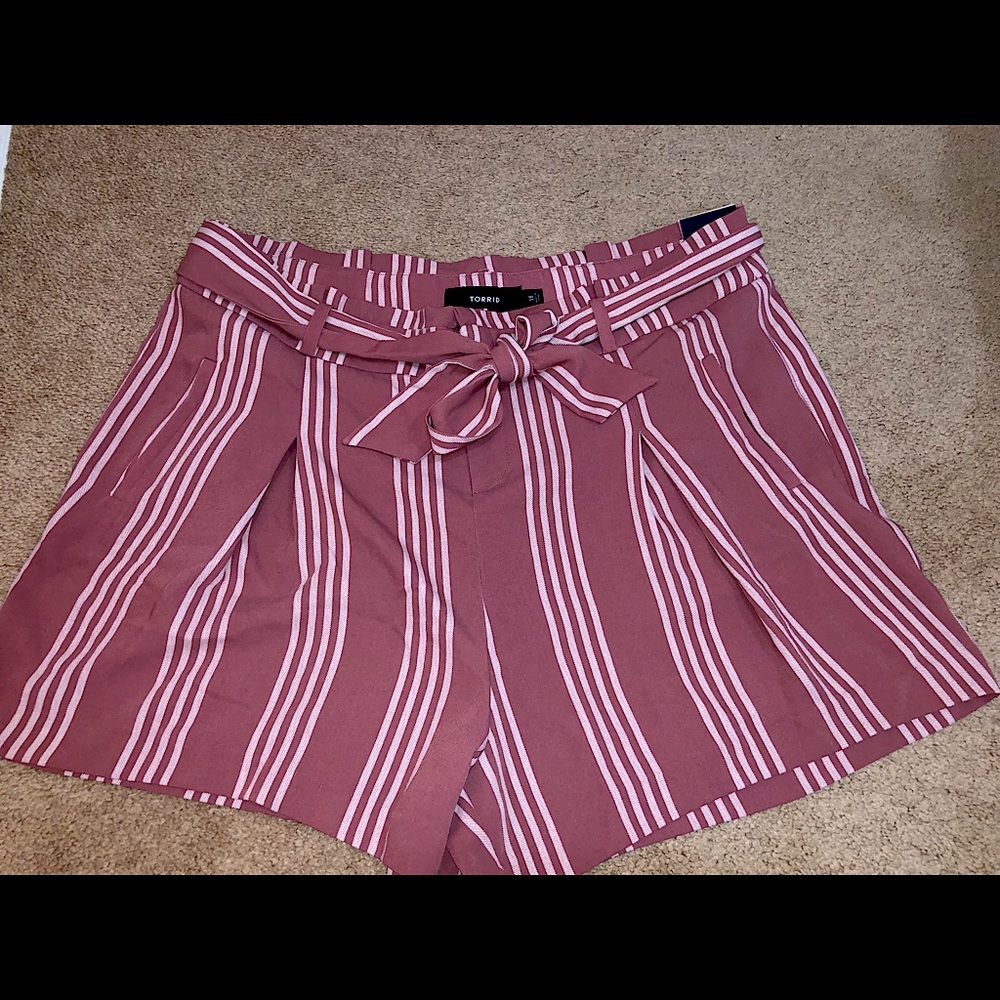 Torrid Shorts